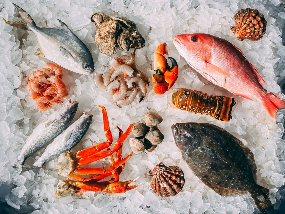 Fisk och skaldjur – färskt från havet till ditt bord